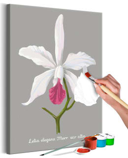 ARTGEIST A1-MA_0348N DIY K.MAAL Main Image