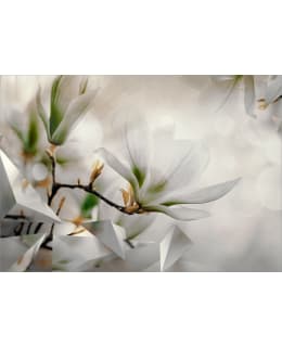 Artgeist A1-5XLFT1849SAM IL-FOTOTAPETTI Main Image