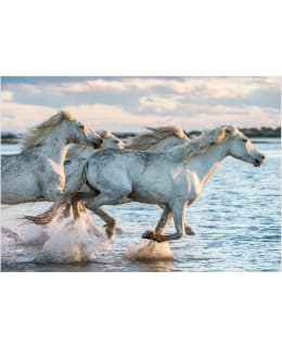 Artgeist A1-5XLFT1858SAM IL-FOTOTAPETTI Main Image