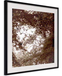 Poster - In the Shade of Trees Main Image