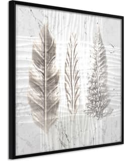 Poster - Three Species Main Image