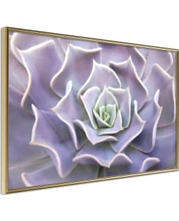 ARTGEIST A1-POSTERPRP0109S_ZR JULISTE Main Image