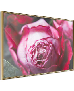 ARTGEIST A1-POSTERPRP0111L_ZR JULISTE Main Image