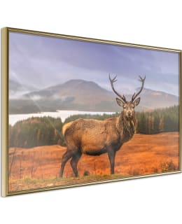 ARTGEIST A1-POSTERPRP0122M_ZR JULISTE Main Image