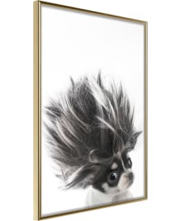 ARTGEIST A1-POSTERPRP0415L_ZR JULISTE Main Image