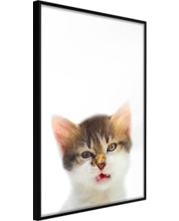 ARTGEIST A1-POSTERPRP0416M_CR JULISTE Main Image