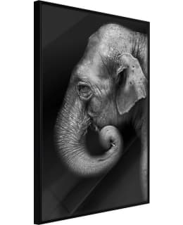 ARTGEIST A1-POSTERPRP0508L_CR JULISTE Main Image