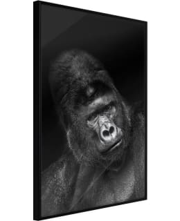 ARTGEIST A1-POSTERPRP0525S_CR JULISTE Main Image