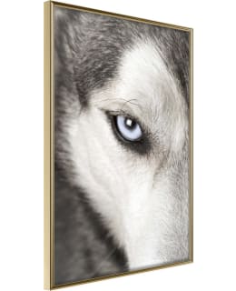 ARTGEIST A1-POSTERPRP0552L_ZR JULISTE Main Image