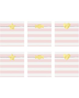 PASTELLI LAHJAPUSSI V.PUN RAIDAT 6KPL Main Image