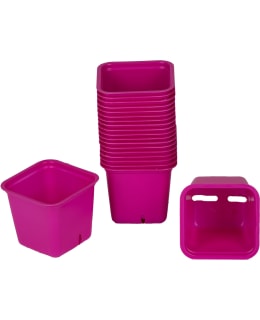 ISTUTUSRUUKKU ROOSA 6 CM Main Image