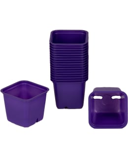 ISTUTUSRUUKKU LILA 6 CM Main Image