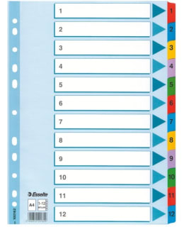 ESSELTE MYLAR A4 1-12 HAKEMISTO Main Image