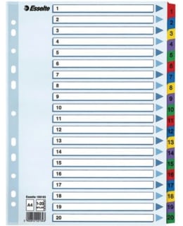 ESSELTE MYLAR A4 1-20 HAKEMISTO Main Image