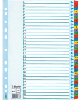 ESSELTE MYLAR A4 1-31 HAKEMISTO Main Image