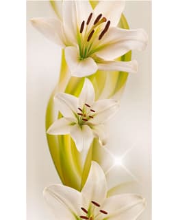 Artgeist A1-WSR10M719 FOTOTAPETTI Main Image