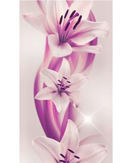 Artgeist A1-WSR10M720 FOTOTAPETTI Main Image