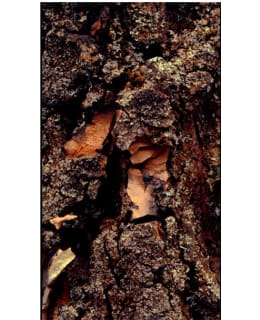 Artgeist A1-WSR10M618-P FOTOTAPETTI Main Image