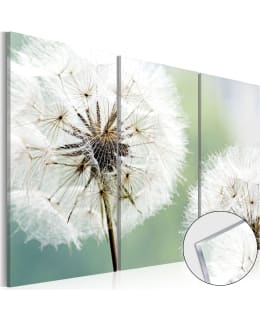 ARTGEIST A1-ACRYLGLASBILD20 TAULUSETTI Main Image