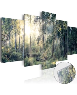 ARTGEIST A1-ACRYLGLASBILD314 TAULUSETTI Main Image