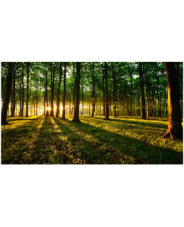 Artgeist A1-500280VFT1018 F.TAPETTI XXL Main Image