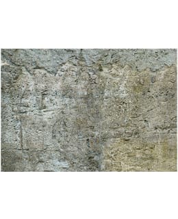 Artgeist A1-XLFT940 FOTOTAPETTI Main Image