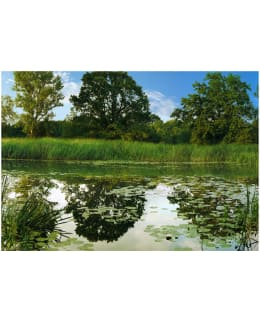 Artgeist A1-XLFT1082 FOTOTAPETTI Main Image