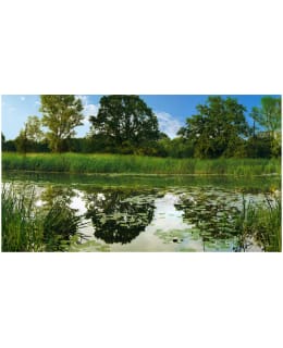 Artgeist A1-500280VFT1082 F.TAPETTI XXL Main Image