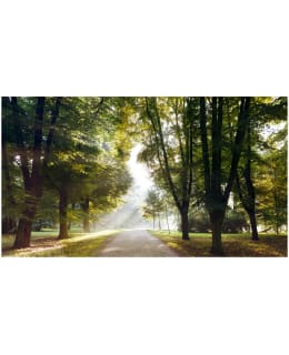 Artgeist A1-500280VFT1085 F.TAPETTI XXL Main Image