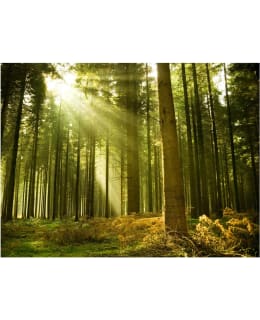 Artgeist A1-XLFTNT0089 FOTOTAPETTI Main Image