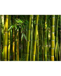 Artgeist A1-LFTNT0090 FOTOTAPETTI Main Image