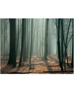 Artgeist A1-LFTNT0096 FOTOTAPETTI Main Image