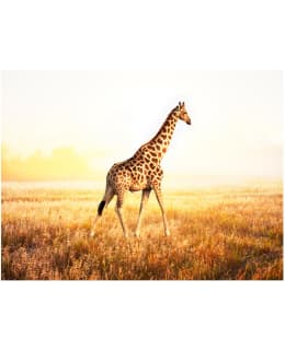 Artgeist A1-4XLFTNT0097 FOTOTAPETTI Main Image