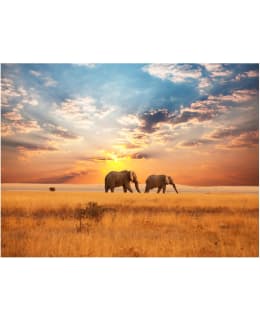 Artgeist A1-FTNT0100 FOTOTAPETTI Main Image