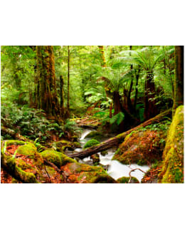 Artgeist A1-LFTNT0111 FOTOTAPETTI Main Image