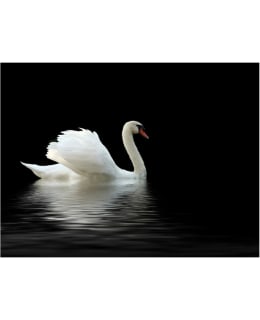 Artgeist A1-XXLFTNT0112 FOTOTAPETTI Main Image