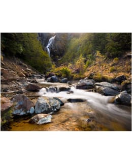 Artgeist A1-FTNT0113 FOTOTAPETTI Main Image