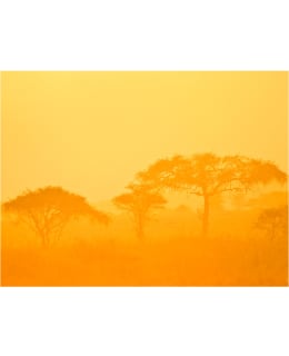 Artgeist A1-4XLFTNT0119 FOTOTAPETTI Main Image