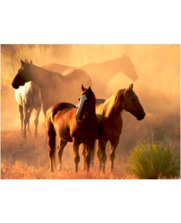 Artgeist A1-XLFTNT0131 FOTOTAPETTI Main Image