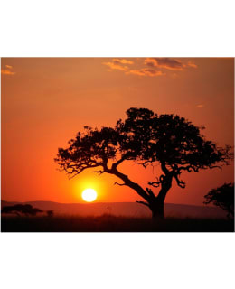 Artgeist A1-LFTNT0134 FOTOTAPETTI Main Image