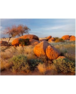 Artgeist A1-XLFTNT0137 FOTOTAPETTI Main Image