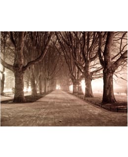 Artgeist A1-XLFTNT0141 FOTOTAPETTI Main Image