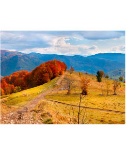 Artgeist A1-XXLFTNT0147 FOTOTAPETTI Main Image