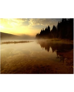 Artgeist A1-XXLFTNT0164 FOTOTAPETTI Main Image