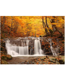 Artgeist A1-LFTNT0167 FOTOTAPETTI Main Image