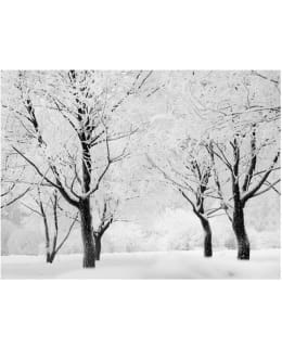 Artgeist A1-4XLFTNT0168 FOTOTAPETTI Main Image