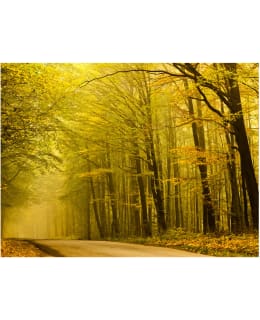 Artgeist A1-FTNT0175 FOTOTAPETTI Main Image