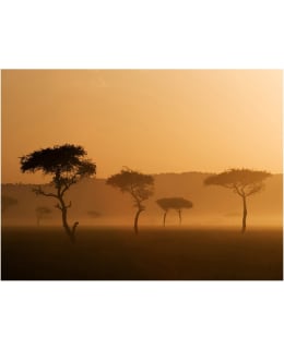 Artgeist A1-4XLFTNT0183 FOTOTAPETTI Main Image