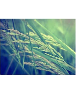 Artgeist A1-XLFTNT0184 FOTOTAPETTI Main Image