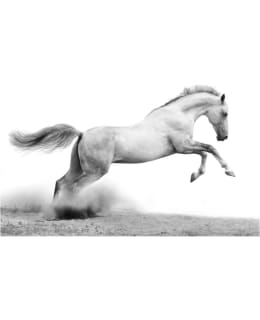 Artgeist A1-4XLFTNT0185 FOTOTAPETTI Main Image